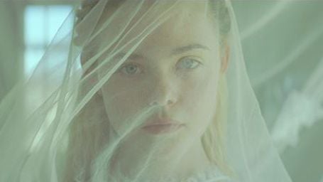 bild aus der news Deutscher Trailer zu "Young Ones" mit Michael Shannon, Nicholas Hoult und Elle Fanning