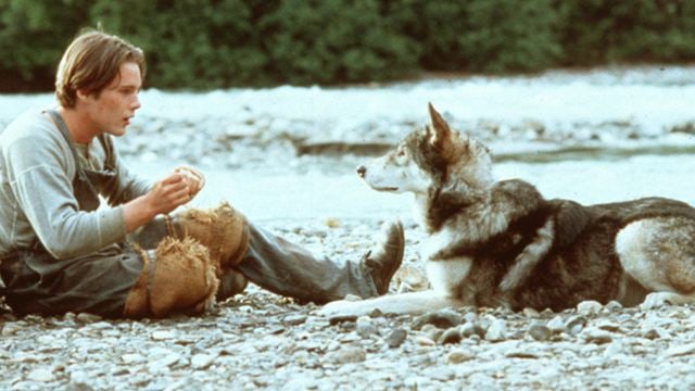 "Wolfsblut": "On the Road"-Autor schreibt Drehbuch zur Neuauflage des Abenteuerfilms mit Ethan Hawke