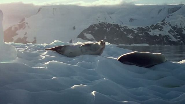 bild aus der news Eiszeit im ersten Trailer zum Drama "Red Knot" mit Olivia Thirlby, Vincent Kartheiser und Billy Campbell