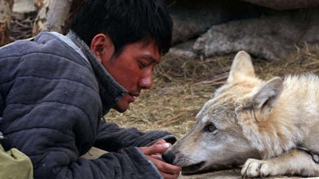 bild aus der news Mensch vs. Raubtier im ersten Trailer zu Jean-Jacques Annauds "Wolf Totem"