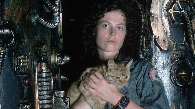 bild aus der news Bestätigt: Neill Blomkamps nächste Regie-Arbeit wird neuester Teil des "Alien"-Franchise