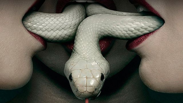 bild aus der news Jessica Lange ist fertig mit "American Horror Story“; Matt Bomer und Cheyenne Jackson fangen erst an