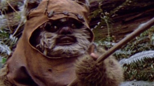 "Star Wars: Das Erwachen der Macht": Gerüchte über ein Comeback von Ewok Wicket