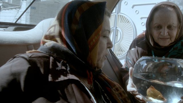 bild aus der news Gespräche über "The Walking Dead" im iranischen Taxi: Neuer Trailer zu Jafar Panahis Berlinale-Gewinner "Taxi Teheran"