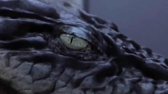Krokodil gegen Riesenschlange gegen Robert Englund im Trailer zu "Lake Placid Vs. Anaconda"