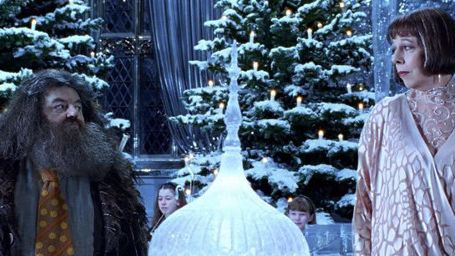 bild aus der news Die "Harry Potter"-Welt zum Anfassen und Miterleben: Weihnachtsdinner in der Großen Halle von Hogwarts