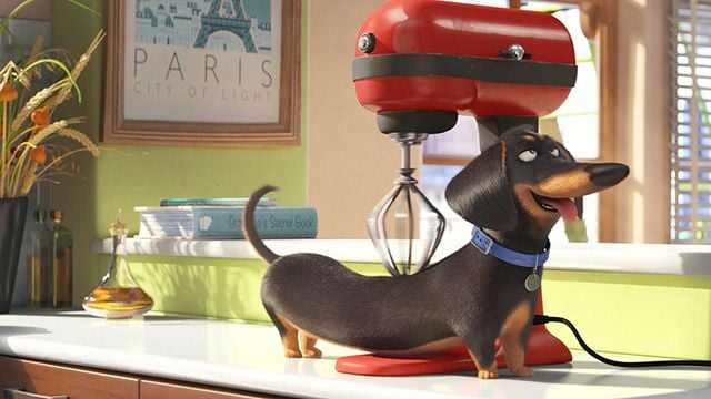 bild aus der news Haustiere und ihr Doppelleben: Neuer Trailer zum Animationsspaß "Pets"