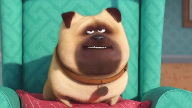 "Pets": Super-Bowl-Trailer zum neuen Film der "Minions"-Macher