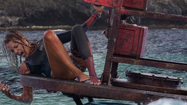 bild aus der news "The Shallows": Erster Trailer zum Hai-Thriller mit Blake Lively