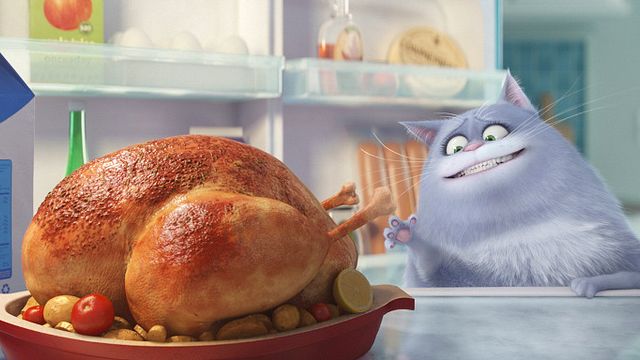 bild aus der news Lustiges Tiervideo mal anders: Der neue Trailer zu "Pets" von den "Minions"-Machern
