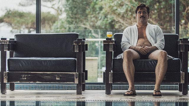 bild aus der news Deutscher Trailer zu "The Lobster": Colin Farrell braucht eine neue Freundin oder er wird in einen Hummer verwandelt
