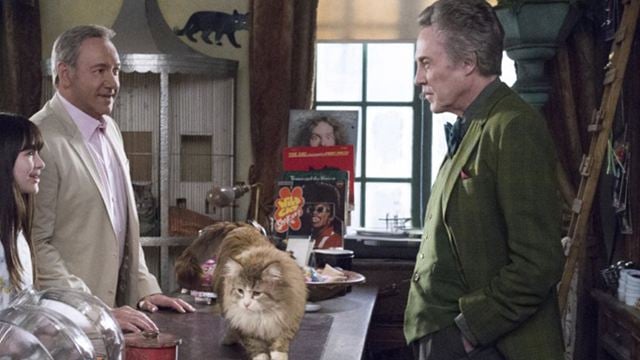 Voll verkatert: Neuer Trailer zur flauschigen Katzen-Komödie  "Nine Lives" mit Kevin Spacey und Christopher Walken