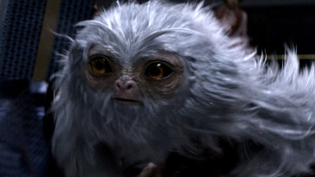 bild aus der news Neue Bilder zum "Harry Potter"-Prequel "Phantastische Tierwesen und wo sie zu finden sind" 