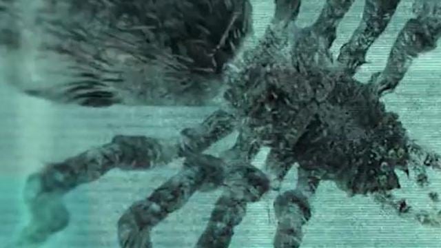 "Arachnicide": Im ersten Trailer treten Soldaten eines Spezialkommandos gegen Riesenspinnen an