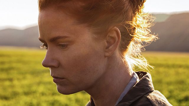 bild aus der news "Arrival": Erster Trailer zum Sci-Fi-Film mit Amy Adams und Jeremy Renner jetzt auch auf Deutsch
