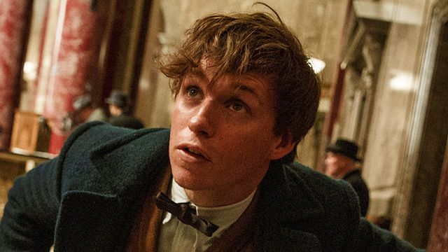 bild aus der news Die ersten Kritiken zu "Phantastische Tierwesen und wo sie zu finden sind" sind da