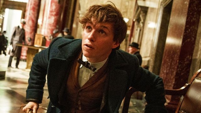 J.K. Rowling gibt Entwarnung: Newt Scamander wird weiterhin die Hauptfigur der "Phantastische Tierwesen"-Reihe bleiben