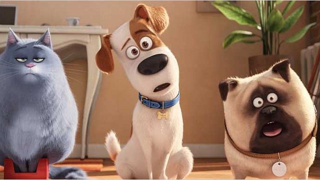 bild aus der news "Pets - Einfach unverbesserlich": Der Honest Trailer zum ultrabrutalen Kinderfilm der "Minions"-Macher