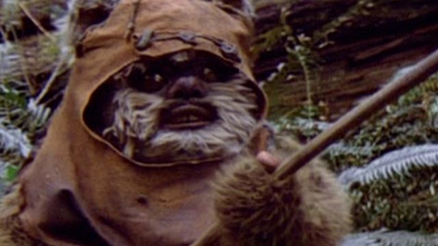 bild aus der news Die Nachfolger der Ewoks in "Star Wars 8"? Details zu neuen, kleinen Kreaturen an der Seite von Luke Skywalker