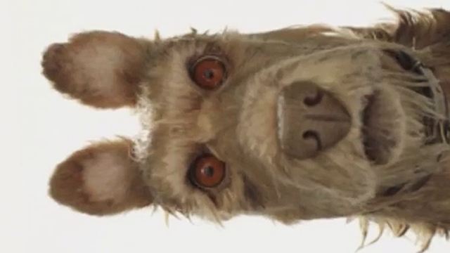 "Isle Of Dogs": Wes Anderson und Edward Norton präsentieren erstes Material und Infos zu ihrem Stop-Motion-Abenteuer