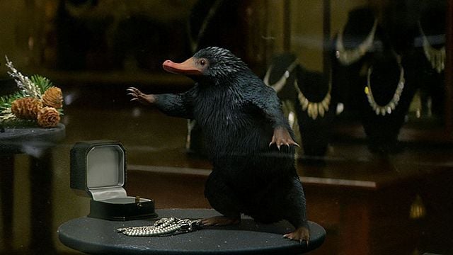 Lecker Niffler: Fan backt Torte mit lustigem Tierchen aus "Phantastische Tierwesen und wo sie zu finden sind"