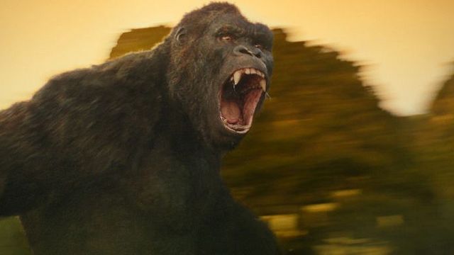 bild aus der news FILMSTARTS am Set von… "Kong: Skull Island"