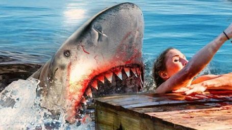 "Summer Shark Attack": Tödlicher Hai-Angriff am See im deutschen Trailer zum trashigen Action-Horror