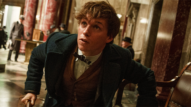 bild aus der news Newt Scamander ein Spion für Dumbledore? J.K. Rowling entkräftet Fantheorie in Neuauflage des "Phantastische Tierwesen"-Buches