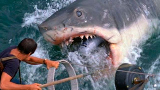 bild aus der news "Der weiße Hai" trifft "Jurassic Park": Jason Statham über seinen Hai-Horror "Meg"