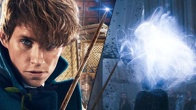bild aus der news "Phantastische Tierwesen 2": Wir verraten euch, was es bedeuten könnte, dass Newts Patronus ein Spoiler ist