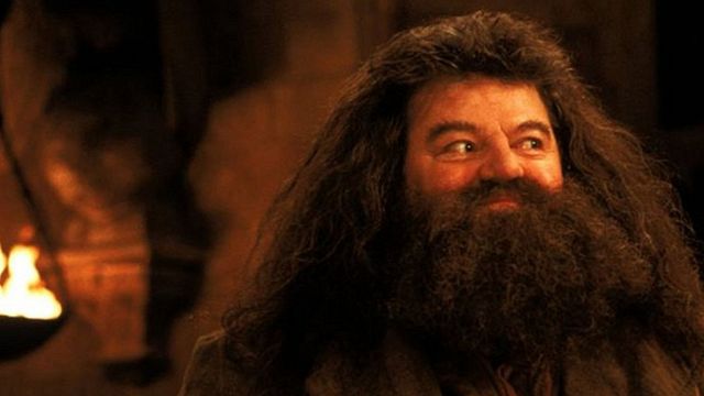 bild aus der news Er sprach Hagrid in "Harry Potter" und Gol D. Roger in "One Piece": Synchronsprecher Hartmut Neugebauer verstorben