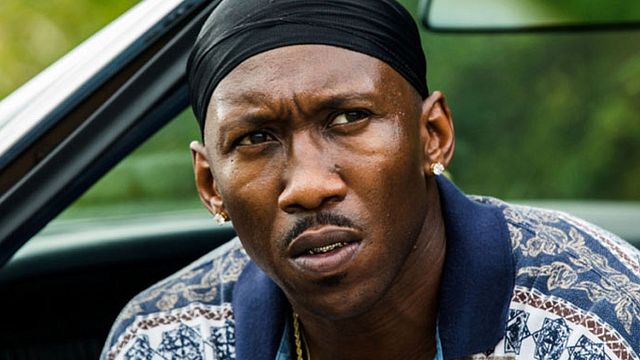 bild aus der news "True Detective": "Moonlight"-Star Mahershala Ali für 3. Staffel der HBO-Krimiserie im Gespräch