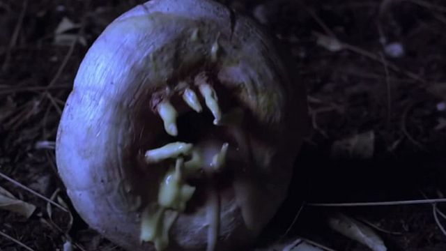 bild aus der news "Attack Of The Killer Donuts": Im Trailer will köstlich aussehendes Gruselgebäck Menschen verspeisen