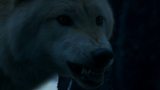 bild aus der news "Game Of Thrones": Weitere Szene mit einem Schattenwolf wurde aus der jüngsten Episode geschnitten