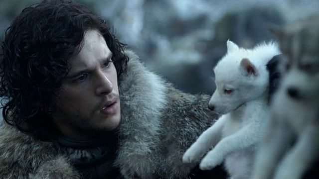 bild aus der news Da heult der Schattenwolf: "Game Of Thrones"-Hundenamen liegen 2017 im Trend