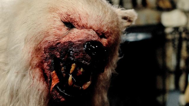 "Maneater - Tod aus der Kälte": Polarbär versus Mensch im deutschen Trailer zum Thriller
