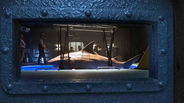 bild aus der news "Deep Blue Sea 2": Zähne, Muskeln und Killerinstinkte im deutschen Trailer zum Hai-Trash