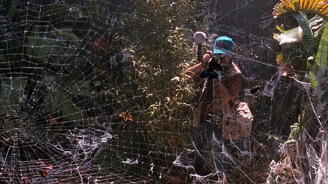 bild aus der news IGITT! James Wan produziert "Arachnophobia"-Remake