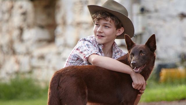 Die Vorgeschichte des einzigartigen Hundes: Trailerpremiere zu "Red Dog – Mein treuer Freund"