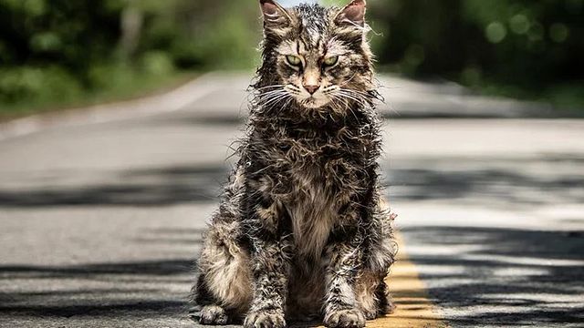 bild aus der news "Friedhof der Kuscheltiere": Diese verstörende Szene ist auch im Remake