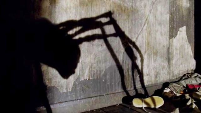Mit fetter Spinne: Trailer zum schaurig-klassischen Gothic-Horror "Possum"