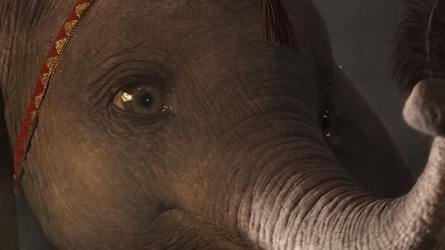 bild aus der news "Dumbo": Der neue, lange Trailer zum Disney-Remake!