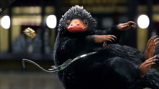bild aus der news Quiz zu "Phantastische Tierwesen 2": Wie gut kennst du Niffler, Zouwu und Bowtruckle?