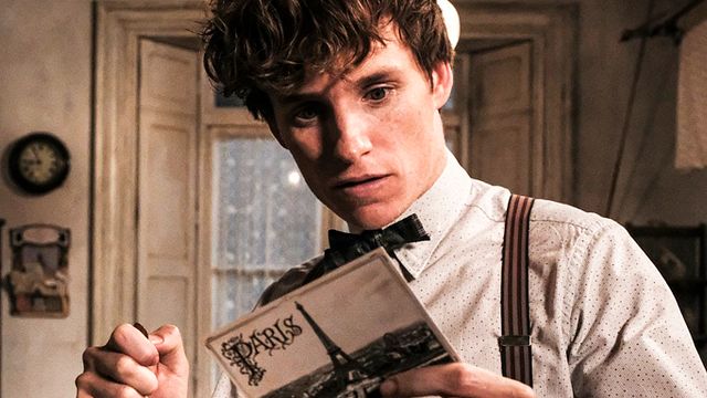 bild aus der news "Phantastische Tierwesen 2": So haben die Stars selbst auf das überraschende Finale reagiert