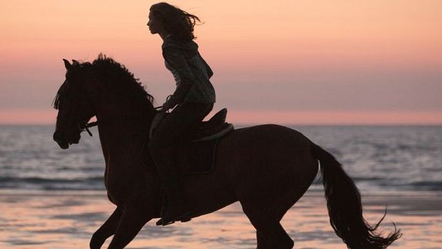bild aus der news Langer Trailer zum Pferde-Abenteuer "Immenhof - Das Abenteuer eines Sommers"