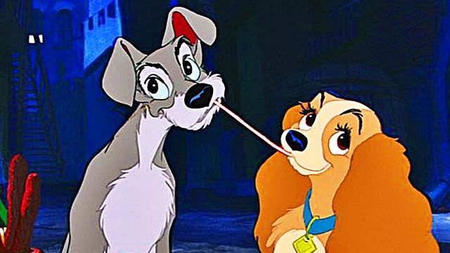 bild aus der news Nicht animiert: Disneys "Susi & Strolch"-Remake wird mit echten Hunden gedreht