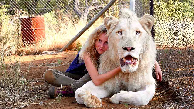 bild aus der news Lieben Löwen Hip-Hop? Der "Löwenflüsterer" von "Mia und der weiße Löwe" klärt uns auf