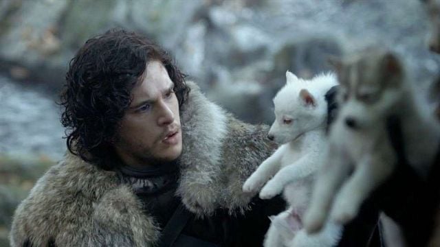 bild aus der news "Game Of Thrones": So geht es mit den Schattenwölfen in Staffel 8 weiter