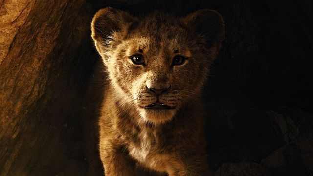 bild aus der news Es wird gesprochen: Neuer deutscher Trailer zum "König der Löwen"-Remake