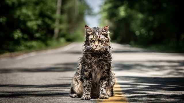 Die ersten Kritiken zu "Friedhof der Kuscheltiere": Eine der besten King-Verfilmungen aller Zeiten